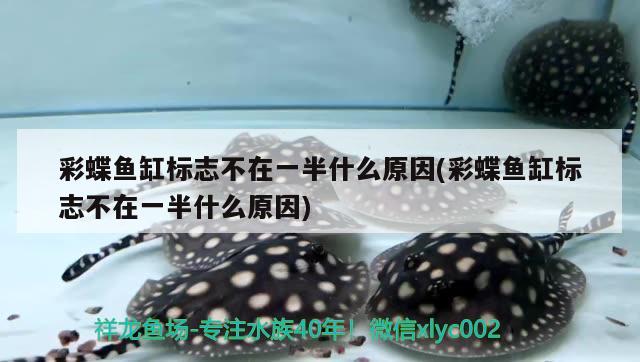 彩蝶魚缸標(biāo)志不在一半什么原因(彩蝶魚缸標(biāo)志不在一半什么原因) 羅漢魚批發(fā)