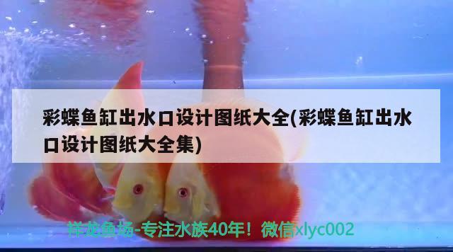 滄州水族批發(fā)市場:滄州商貿(mào)城干嘛的 觀賞魚水族批發(fā)市場 第3張