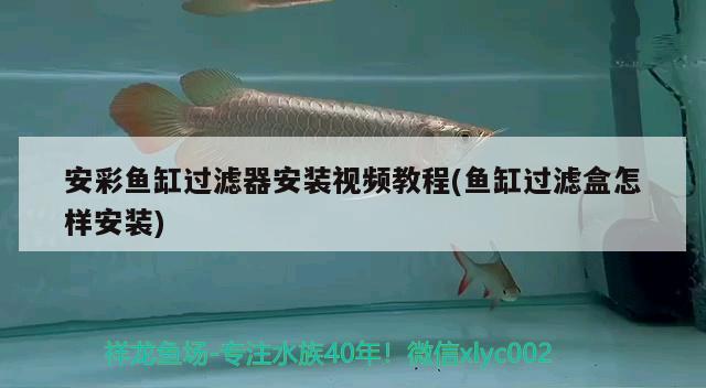 安彩魚缸過濾器安裝視頻教程(魚缸過濾盒怎樣安裝)