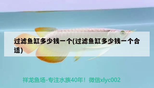 魚(yú)缸里放維生素c好嗎為什么要放鹽呢(魚(yú)缸里放維生素c多長(zhǎng)時(shí)間有效)