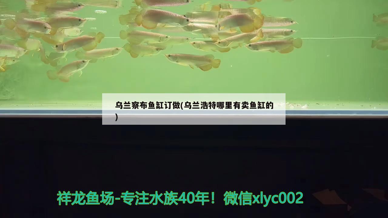 烏蘭察布魚缸訂做(烏蘭浩特哪里有賣魚缸的)