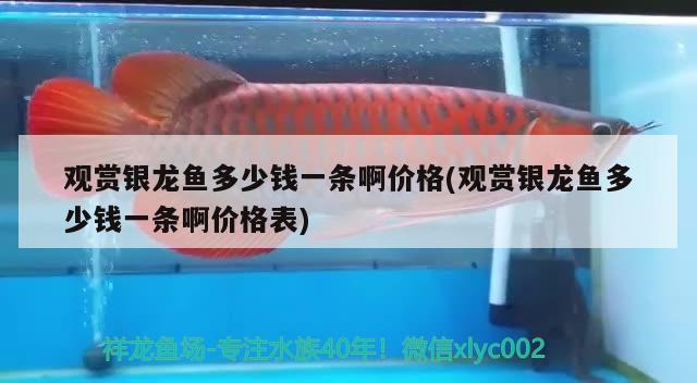 泉州魚缸定做（泉州哪里賣魚缸）