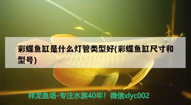 遷安二手魚缸出售信息大全電話（遷安二手舊貨市場電話） 黃金斑馬魚