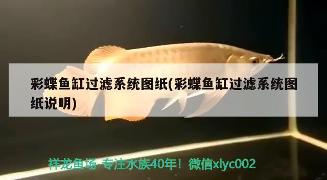 保質(zhì)90天是什么意思：月餅保質(zhì)期90天好嗎