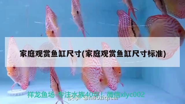 家庭觀賞魚缸尺寸(家庭觀賞魚缸尺寸標(biāo)準(zhǔn)) 生態(tài)瓶/創(chuàng)意缸/桌面微景缸 第2張