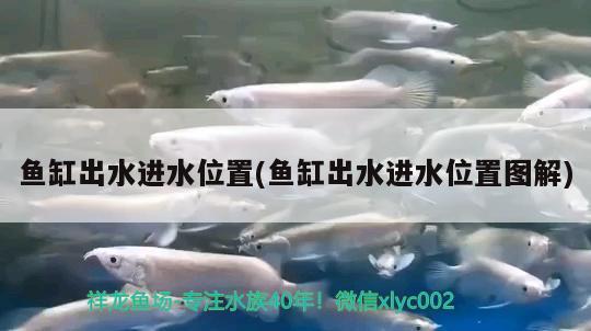 魚缸出水進水位置(魚缸出水進水位置圖解) 養(yǎng)魚知識