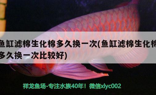 小型魚缸品牌推薦：小型魚缸品牌推薦圖片