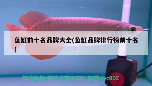 魚缸前十名品牌大全(魚缸品牌排行榜前十名)