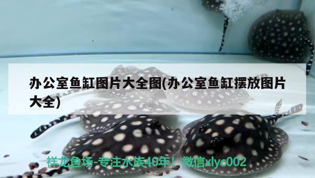 青島哪里買魚(yú)缸好又便宜：青島賣魚(yú)缸哪里產(chǎn)品價(jià)格合理