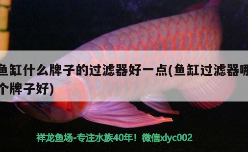 魚(yú)缸什么牌子的過(guò)濾器好一點(diǎn)(魚(yú)缸過(guò)濾器哪個(gè)牌子好) 七彩神仙魚(yú)