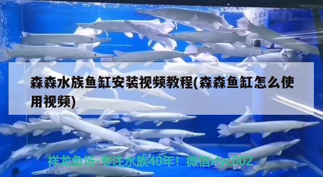 森森水族魚缸安裝視頻教程(森森魚缸怎么使用視頻) 黃金鴨嘴魚