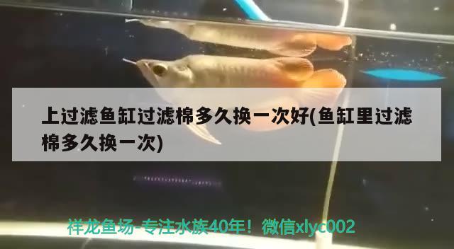 開心漁具水族釣具 垂釣樂園 第2張