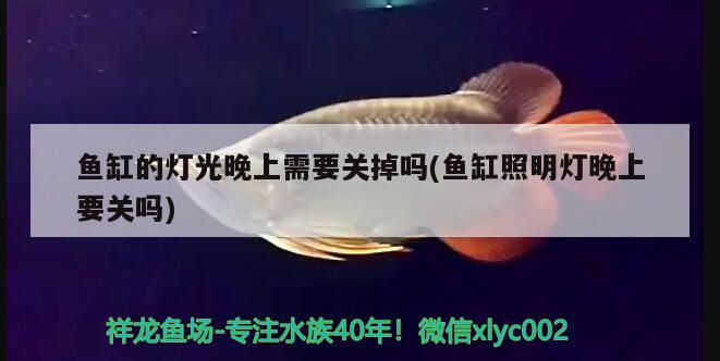 博宇水族箱安裝教程(博宇水族箱怎么安裝)