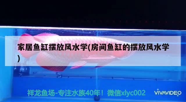 博宇水族箱安裝教程(博宇水族箱怎么安裝)