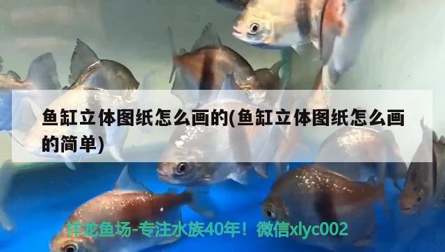 魚缸立體圖紙怎么畫的(魚缸立體圖紙怎么畫的簡單)