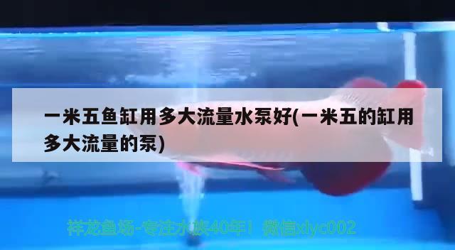 齊齊哈爾市二手魚缸出售信息最新價(jià)格（齊齊哈爾二手魚缸交易市場(chǎng)） 其他品牌魚缸 第2張