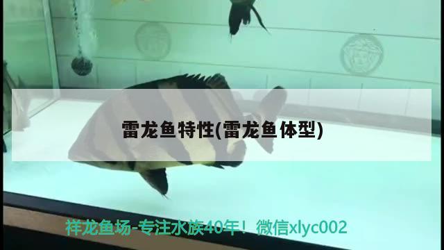 烏龜殼爛了怎么治療 純血皇冠黑白魟魚(yú) 第2張