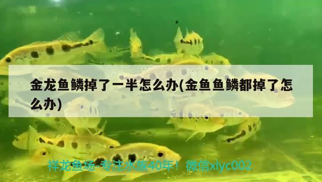 求懂風(fēng)水的大師幫忙看一下魚缸放哪個(gè)位置好（來(lái)自貴陽(yáng)花園小區(qū)），昆明搬家公司哪家靠譜