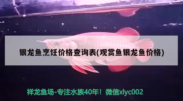 銀龍魚烹飪價(jià)格查詢表(觀賞魚銀龍魚價(jià)格)