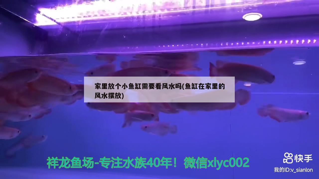 家里放個小魚缸需要看風(fēng)水嗎(魚缸在家里的風(fēng)水?dāng)[放)