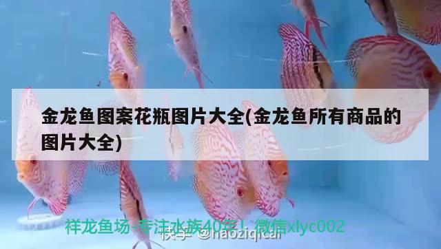 金龍魚圖案花瓶圖片大全(金龍魚所有商品的圖片大全) 養(yǎng)魚知識