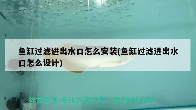 魚缸過(guò)濾進(jìn)出水口怎么安裝(魚缸過(guò)濾進(jìn)出水口怎么設(shè)計(jì))