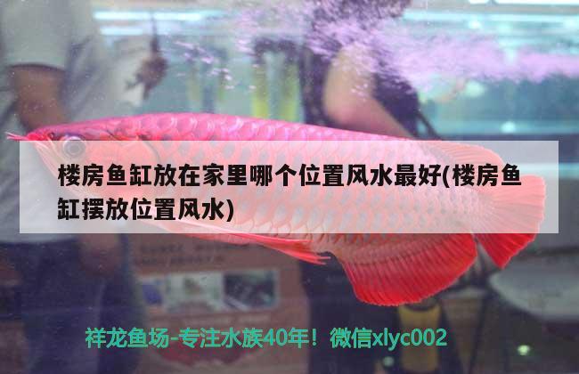 樓房魚缸放在家里哪個位置風水最好(樓房魚缸擺放位置風水) 魚缸風水