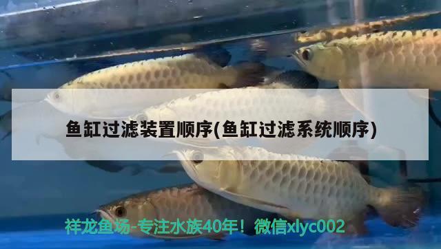 哈密水族批發(fā)市場在哪里有賣海鮮的 哈密水族批發(fā)市場在哪里有賣海鮮的地方