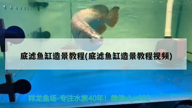 底濾魚缸造景教程(底濾魚缸造景教程視頻)