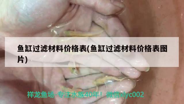 魚缸過濾材料價(jià)格表(魚缸過濾材料價(jià)格表圖片) 白化火箭