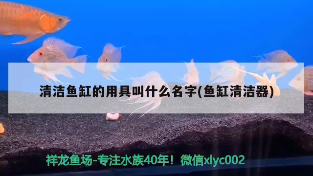 威海魚缸制作廠家地址電話（ 威海魚具廠）