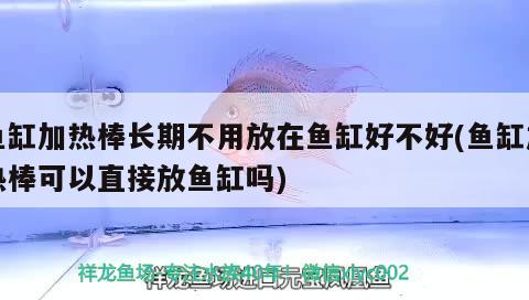 魚缸加熱棒長期不用放在魚缸好不好(魚缸加熱棒可以直接放魚缸嗎)