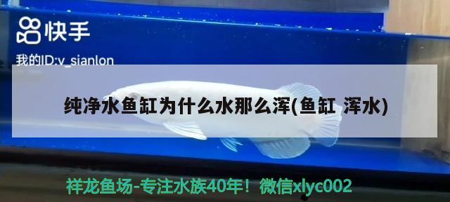 魚缸換水后多長時間放魚(魚缸換水后幾小時可以喂食) 印尼虎苗 第2張