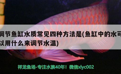 調節(jié)魚缸水質常見四種方法是(魚缸中的水可以用什么來調節(jié)水溫) 巴卡雷龍魚 第3張