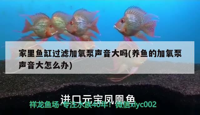 盤錦魚缸定做廠家聯(lián)系方式電話多少（盤錦市魚缸廠）