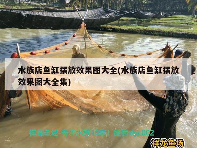 水族店魚缸擺放效果圖大全(水族店魚缸擺放效果圖大全集) 翡翠鳳凰魚