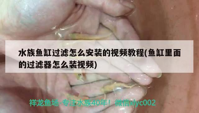 水族魚缸過濾怎么安裝的視頻教程(魚缸里面的過濾器怎么裝視頻) 黑云魚