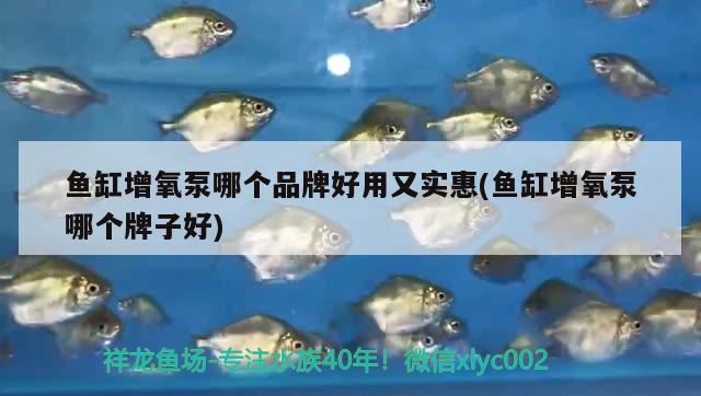 魚(yú)缸增氧泵哪個(gè)品牌好用又實(shí)惠(魚(yú)缸增氧泵哪個(gè)牌子好)