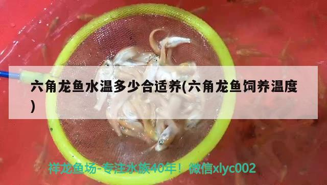 魚缸換水直接熱水器可以不：魚缸換水能用熱水加水嗎