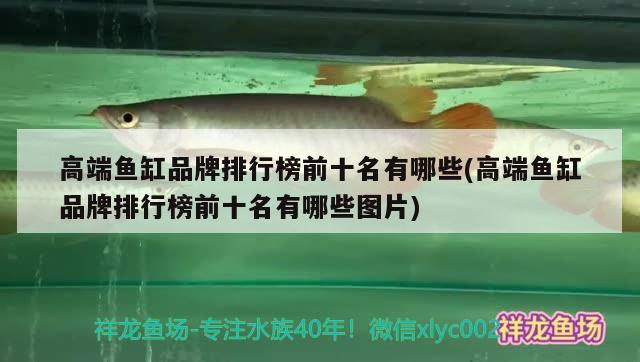 高端魚缸品牌排行榜前十名有哪些(高端魚缸品牌排行榜前十名有哪些圖片)