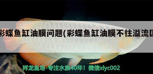 彩蝶魚(yú)缸油膜問(wèn)題(彩蝶魚(yú)缸油膜不往溢流區(qū))