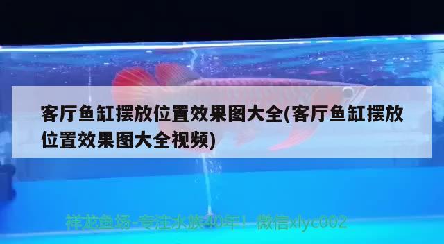 客廳魚缸擺放位置效果圖大全(客廳魚缸擺放位置效果圖大全視頻)