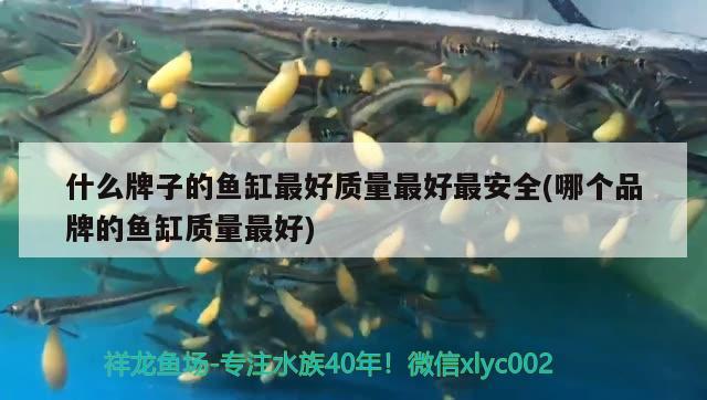 什么牌子的魚缸最好質(zhì)量最好最安全(哪個(gè)品牌的魚缸質(zhì)量最好)