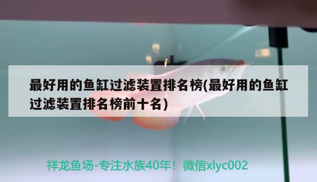 最好用的魚(yú)缸過(guò)濾裝置排名榜(最好用的魚(yú)缸過(guò)濾裝置排名榜前十名) 戰(zhàn)車(chē)紅龍魚(yú)