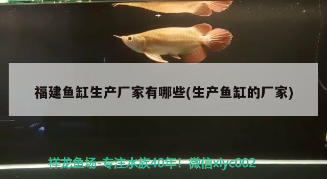 福建魚缸生產(chǎn)廠家有哪些(生產(chǎn)魚缸的廠家)