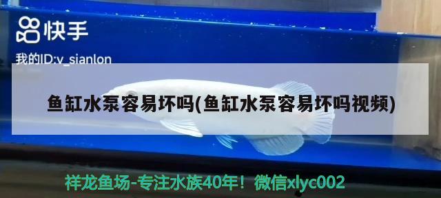 魚缸水泵容易壞嗎(魚缸水泵容易壞嗎視頻) 魚缸水泵