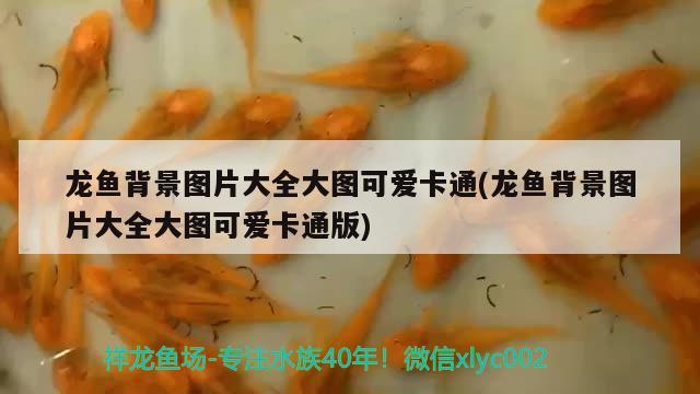 龍魚背景圖片大全大圖可愛卡通(龍魚背景圖片大全大圖可愛卡通版) 魚缸/水族箱