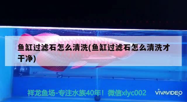 魚缸過濾石怎么清洗(魚缸過濾石怎么清洗才干凈) 金龍福龍魚