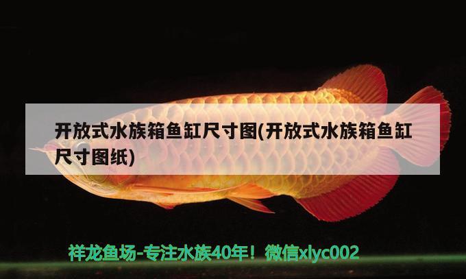 開放式水族箱魚缸尺寸圖(開放式水族箱魚缸尺寸圖紙) 魚缸/水族箱