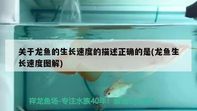 沈陽水族批發(fā)市場在哪里進(jìn)貨便宜些：沈陽最大水產(chǎn)市場 觀賞魚水族批發(fā)市場 第2張